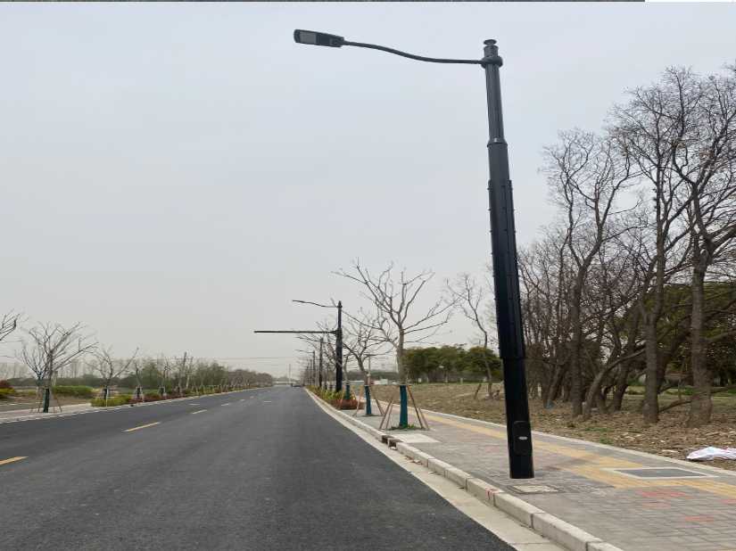 凭祥市上海综合杆 太阳能路灯工程